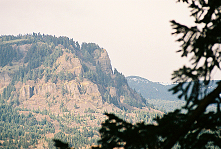 [Looking through some evergreen trees on this side of the shore to the mountain on the other side of the Columbia River. The mountains are showing a lot of rock, but also have a lot of evergreens. The far shore is hazy due to the distance.]